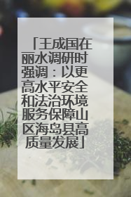 王成国在丽水调研时强调：以更高水平安全和法治环境服务保障山区海岛县高质量发展